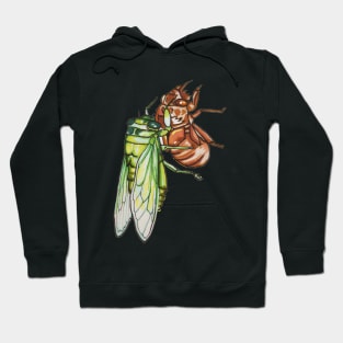 Cicada Emerging Hoodie